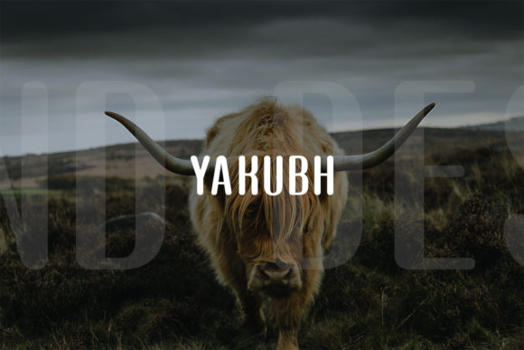 Yakubh: The Modern Display Font for Creative Web Design